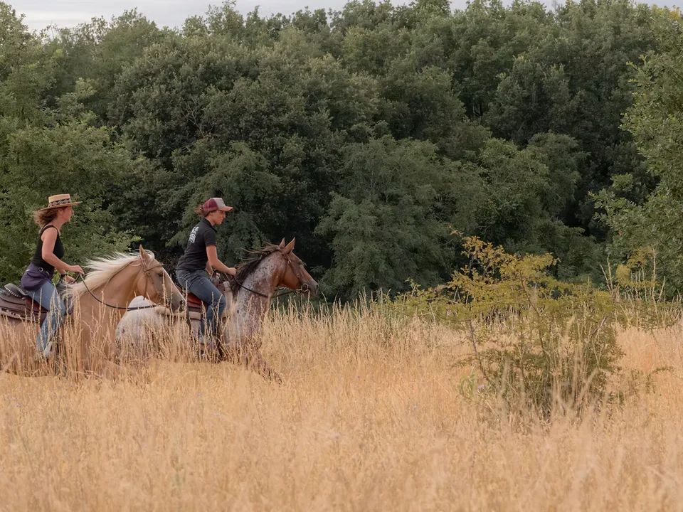 Horse riding in the countryside around Juigné-sur-Loire
